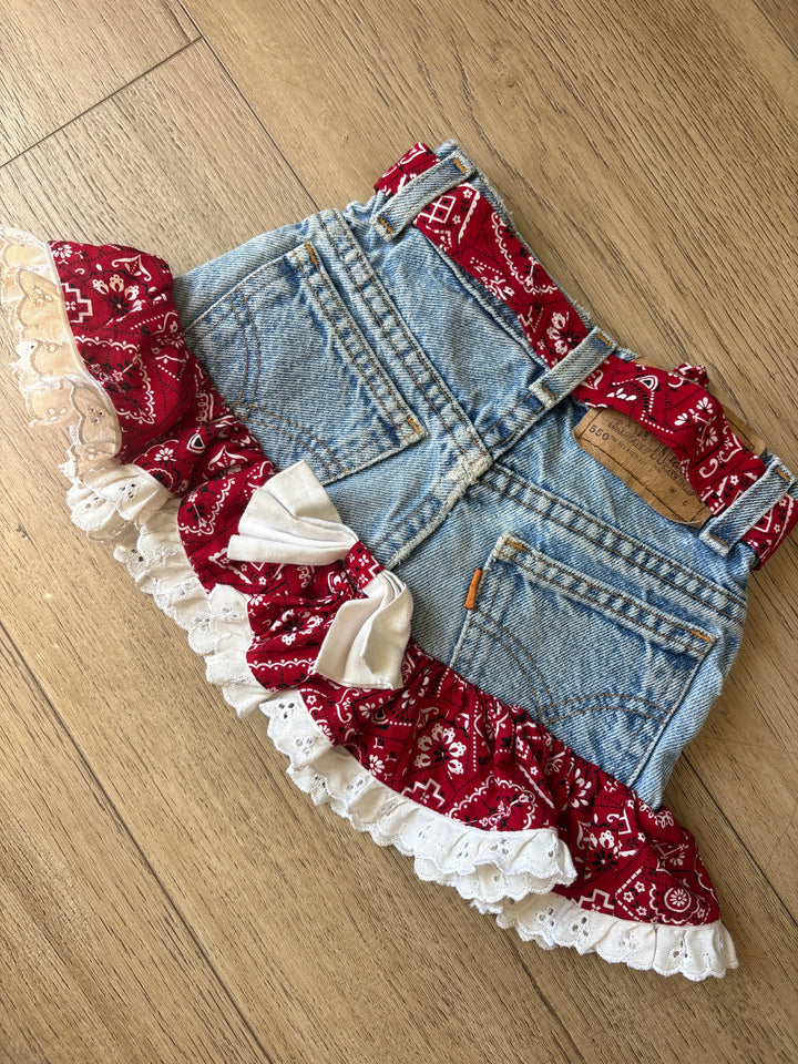 Vintage Levi Bandana skirt