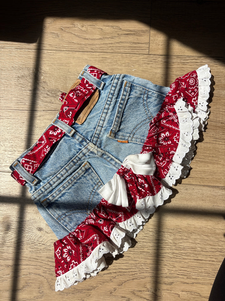 Vintage Levi Bandana skirt